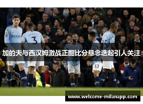 加的夫与西汉姆激战正酣比分悬念迭起引人关注